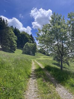 Foto fra Marcel G. underveis på turen
