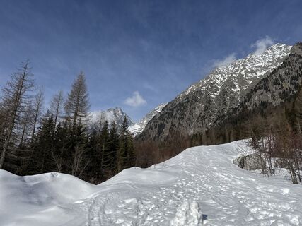 Foto von Grizzli entlang der Tour