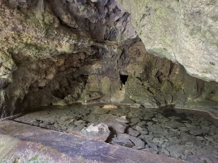 Foto von nordbergschnecke entlang der Tour