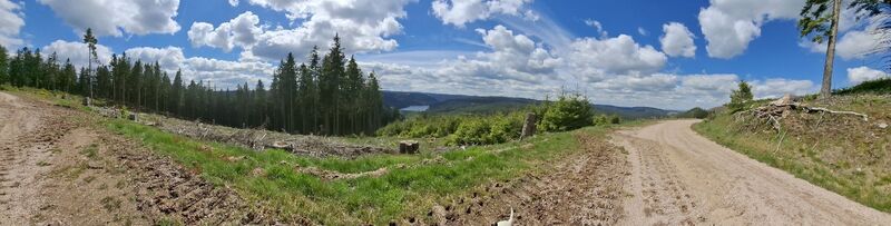 Photo de Karin-Wandert le long du parcours