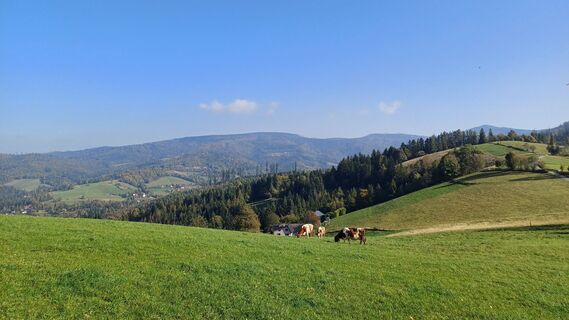 Foto von Miroslav Lank entlang der Tour