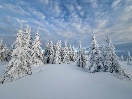Foto von Natur_erleben_dg entlang der Tour