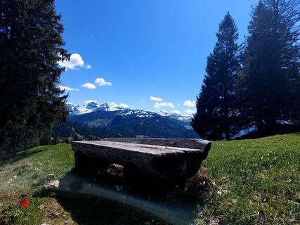 Foto von Jens Brunner entlang der Tour