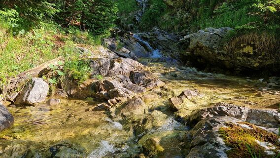 Bachquerung des Trampelpfades im Scheinberggraben