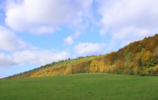 Aufstieg zu den Hörselbergen im Herbst