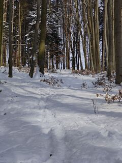 Foto de Sabine a lo largo del recorrido