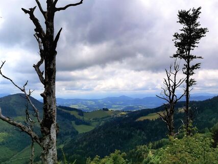 Aussicht vom Zetz_Naturpark Almenland_Oststeiermark