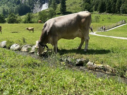 Foto von Ben Möhlmann entlang der Tour
