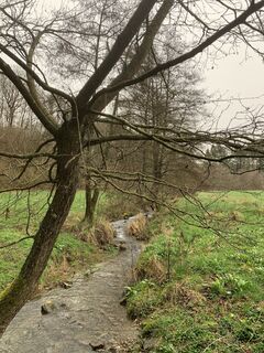 Photo from vieletausendkilometer along the tour