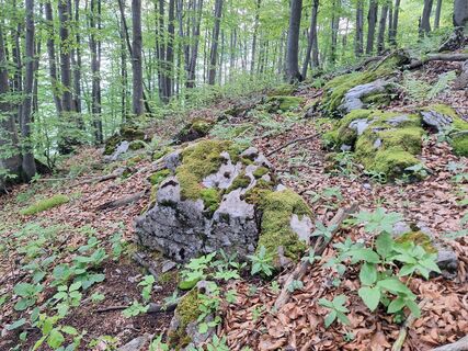 Foto von Anja Theisl 1 entlang der Tour