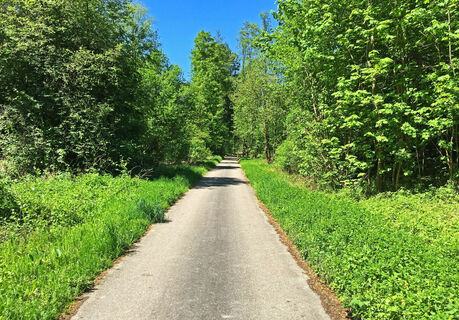 Radweg im Rheintal