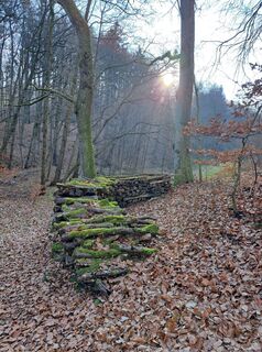 Fotografija s spletne strani Schwartzhox na poti