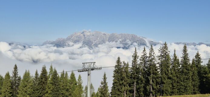 Fotografija s spletne strani Bruunoo na poti