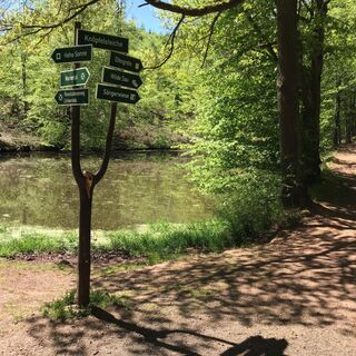 Knöpfelsteiche