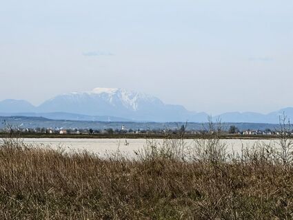 Photo de Franz Dvoran le long du parcours