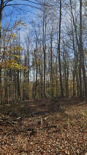 Foto från Soma Gyimesi under resans gång