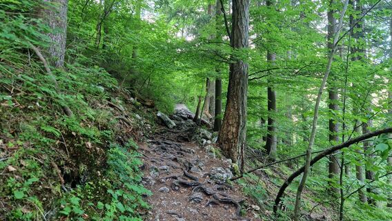 Weißenbach am Attersee - Großer Schoberstein