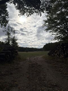 Foto von Andreas Vogel 1 entlang der Tour