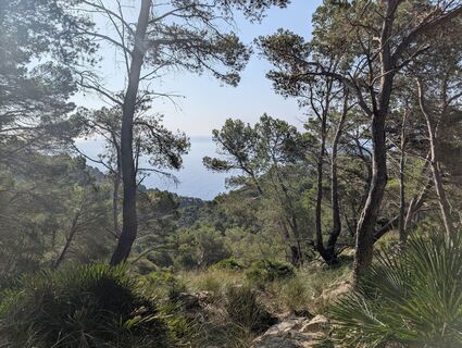 Photo de michael arnold 3 le long du parcours