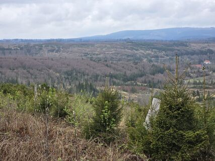 Photo de Martina Gerneck le long du parcours