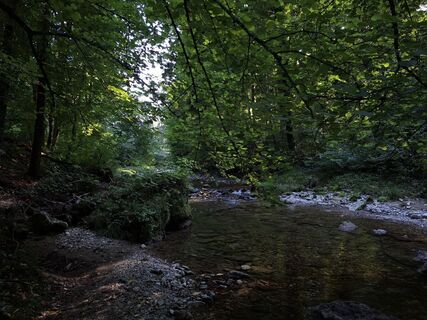Photo de rgbkiller le long du parcours