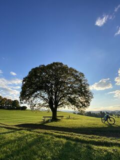 Foto von Sven Krieblin entlang der Tour