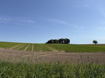 Foto von !SV entlang der Tour