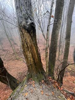 Fotografija s spletne strani Fazekas Tibor78 na poti
