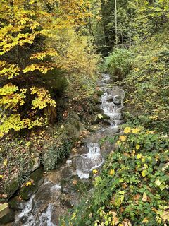 Zdjęcie z Andrea Vogt wzdłuż trasy