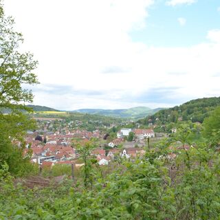 Blick auf Schloss Wilhelmsburg und die Altstadt