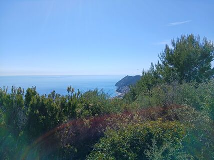 Foto von Luca Dainese entlang der Tour