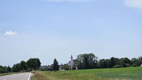 Zdjęcie z garrincha wzdłuż trasy