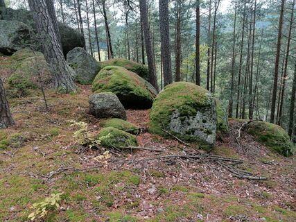 Foto fra Dragoljub Ilic undervejs på turen