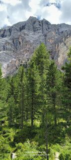 Photo de Sherpa 960 le long du parcours