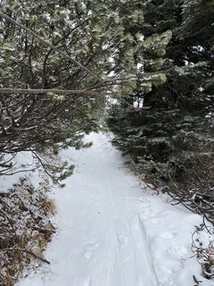 Foto da Amiks lungo il tour