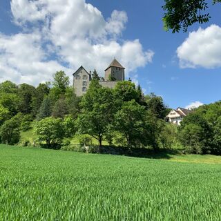 Blick auf das Schloss Herblingen