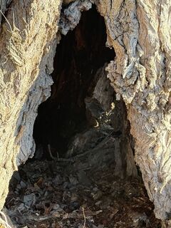 Fotografia z Gottfried Wietinger na trase