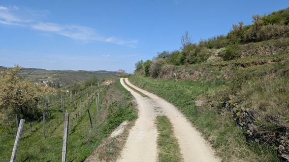 Foto de Edero a lo largo del recorrido
