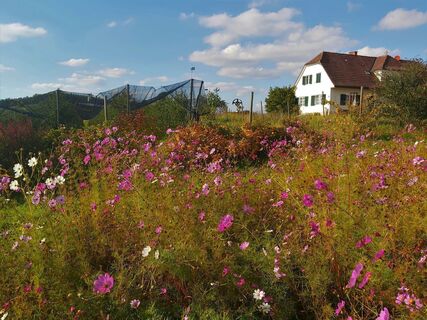 Hof in Brodingberg bei Weiz in der Oststeiermark