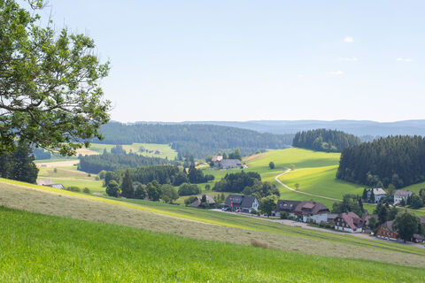 Blick vom Roßberg übers Vorderdorf Richtung Südosten