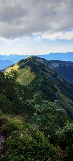 Foto da ReginaSt lungo il tour