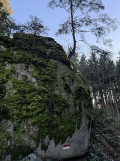 Foto von Florian Leopold Stonig entlang der Tour