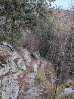 Photo de Roberto Parmeggiani le long du parcours
