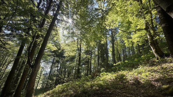Photo de Christian Bozsoki le long du parcours
