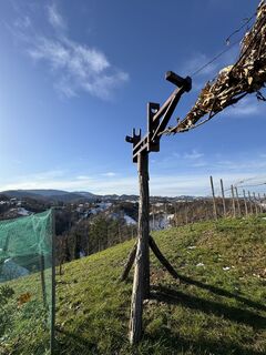 Fotografia z Alja Koren na trase