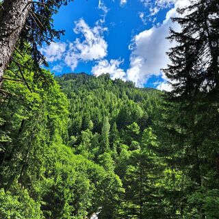 Foto von BabsinAustria entlang der Tour