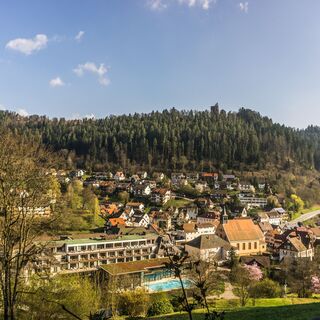 Aussicht ins Teinachtal mit Kurpark und Hotel Therme