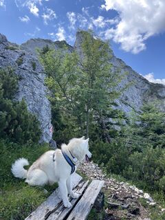 Photo de Franz Stumvoll le long du parcours