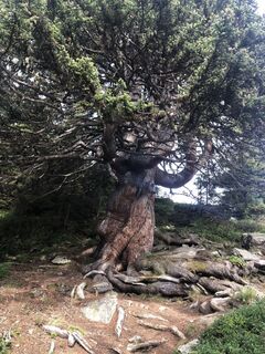 Zdjęcie z Maria Dolezal wzdłuż trasy