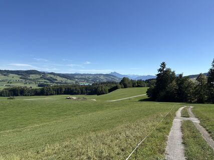 Photo de F. Shirazi-Joska le long du parcours